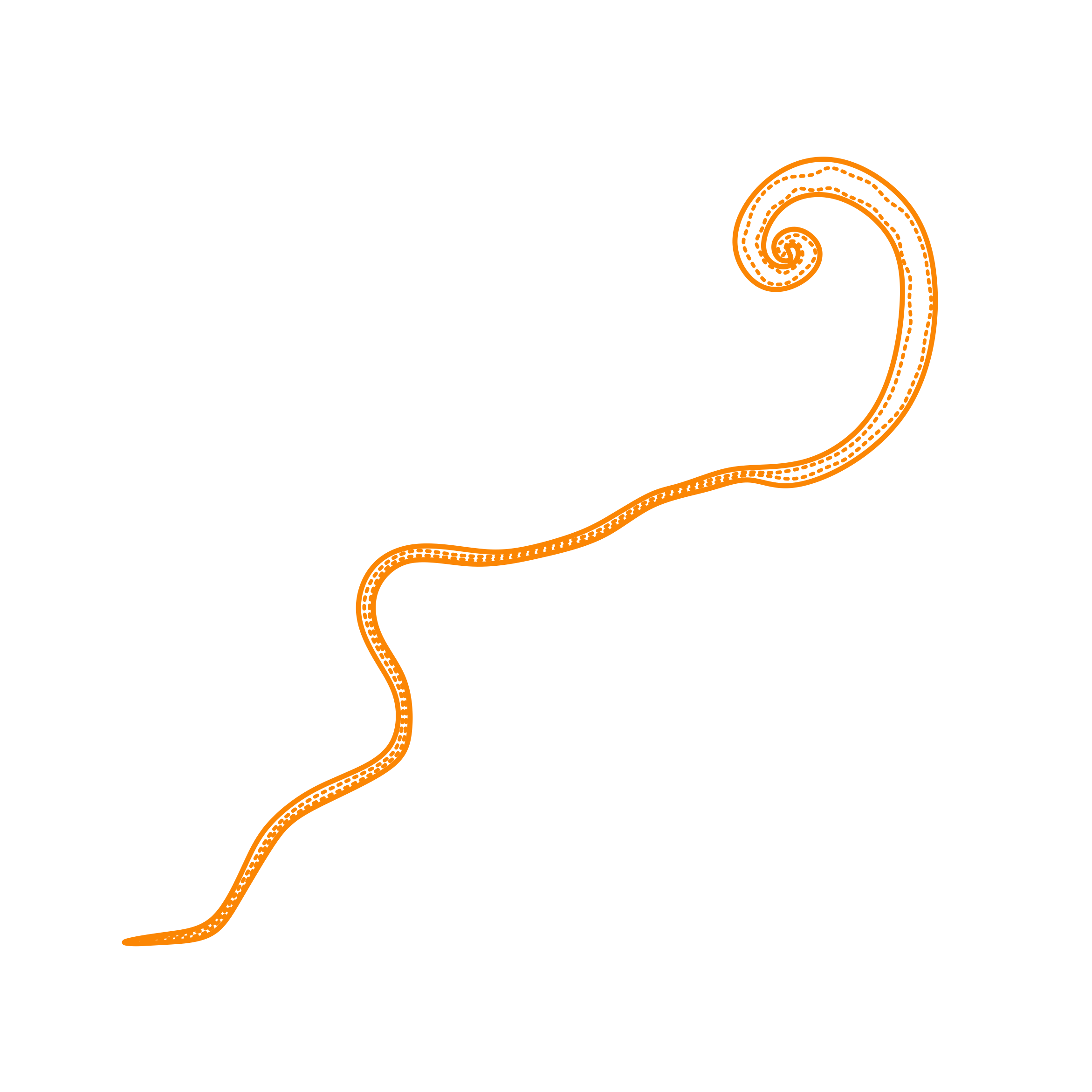 Animals Worms Whipworm Engraving Svg Design Free Vectors